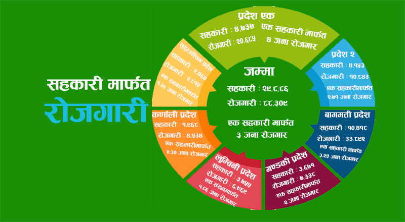 सहकारी  मार्फत रोजगारीको अवस्था कमजोर, कुन प्रदेशमा कति रोजगार